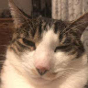 Meet your Posher, Chloe